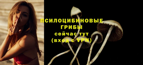 мдпв Баксан