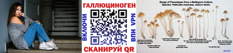 Псилоцибиновые грибы мицелий  Купить где  Муром 